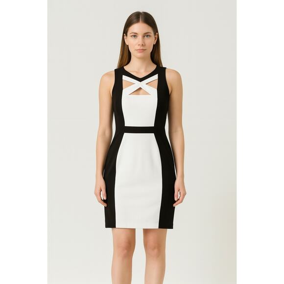 Connected Apparel Women’s Colorblock Sheath Cocktail Dress - Size 12 Petite NWT - Picture 1 of 7